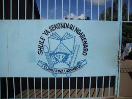 NGARENARO SECONDARY SCHOOL Logo
